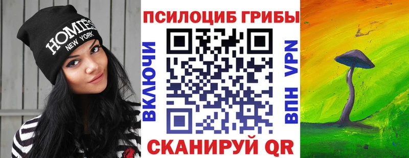 дарнет шоп  Чулым  Галлюциногенные грибы мухоморы 